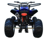 ATV 200 Sports - Image 10
