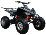 ATV 200 Sports - Image 3