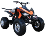 ATV 200 Sports - Image 9