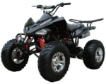 ATV 200 Sports - Image 2