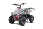 TAO MOTOR BOULDER110