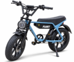 EB-2 ELECTRIC BIKE