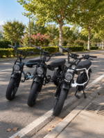 EB-2 ELECTRIC BIKE - Image 10