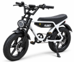 EB-2 ELECTRIC BIKE - Image 8